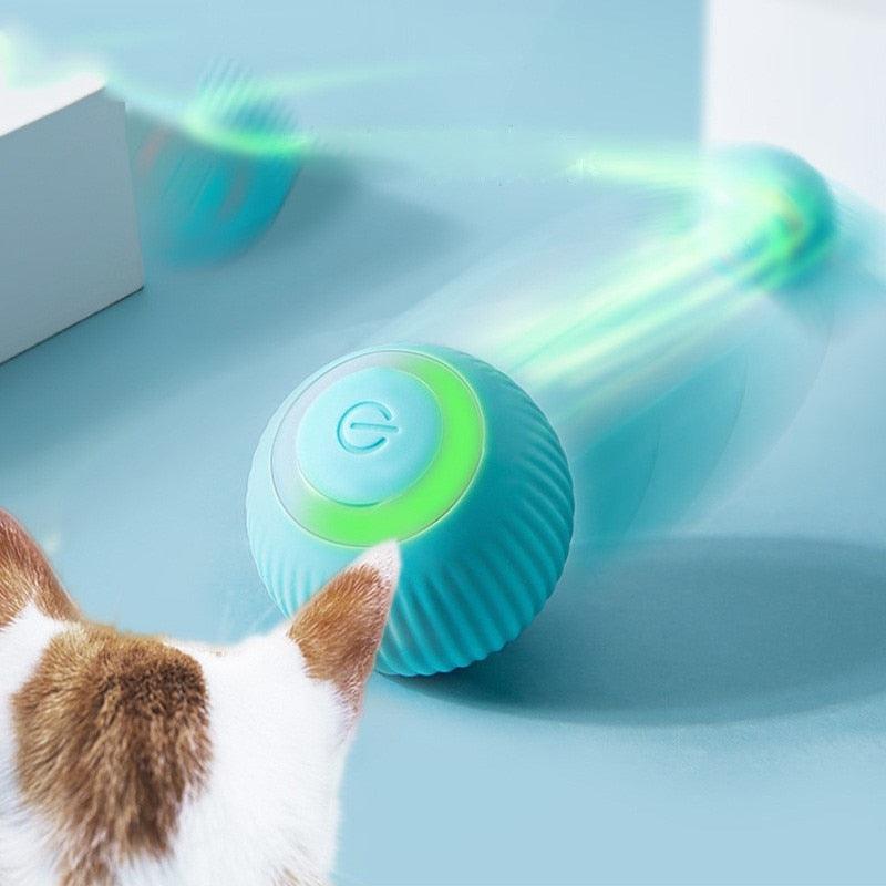 Bola Inteligente para Pet - Smart Ball - vaigo
